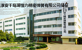 淳安千岛湖恒力精密弹簧有限公司