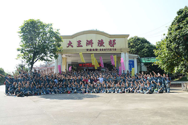 金马全员 金马全员