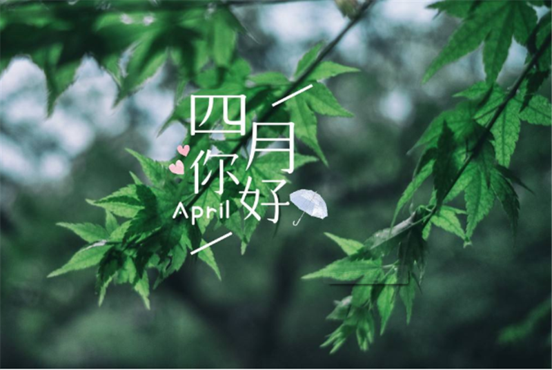 四月你好——转载网络图片