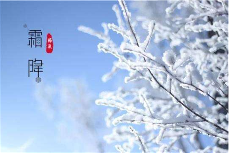 霜降——转载网络图片